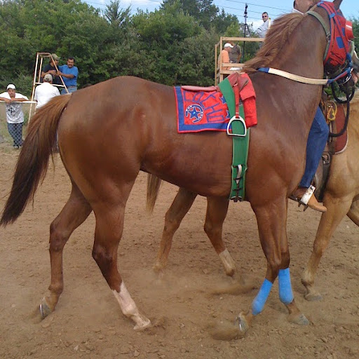Ernesto Cortez Photo 14