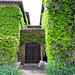 Pat Biondi Photo 12
