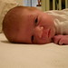 Daniel Gibbons Photo 47