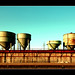 Thomas Kies Photo 28