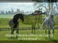 Dale Pyatt Photo 3
