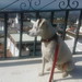 James Cala Photo 16