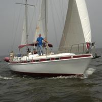 Steve Savell Photo 1