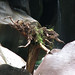Larry Stump Photo 29