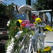 Michael Needham Photo 48