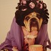 Carol Rule Photo 29