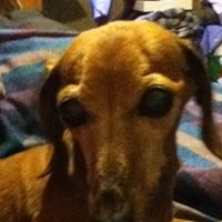 May Tucker Photo 3