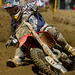 Andrew Tedesco Photo 35
