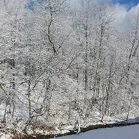 Alicia Becker Photo 8