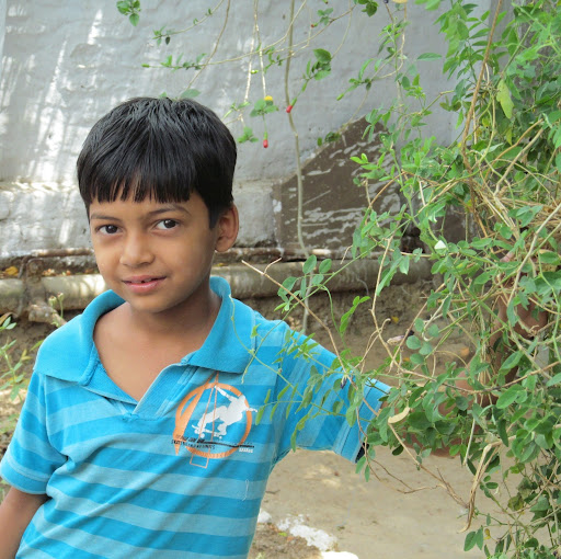 Seema Dwivedi Photo 9
