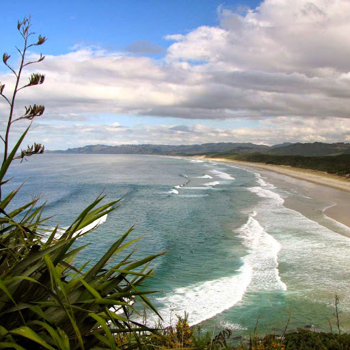Peter Kerr Photo 16
