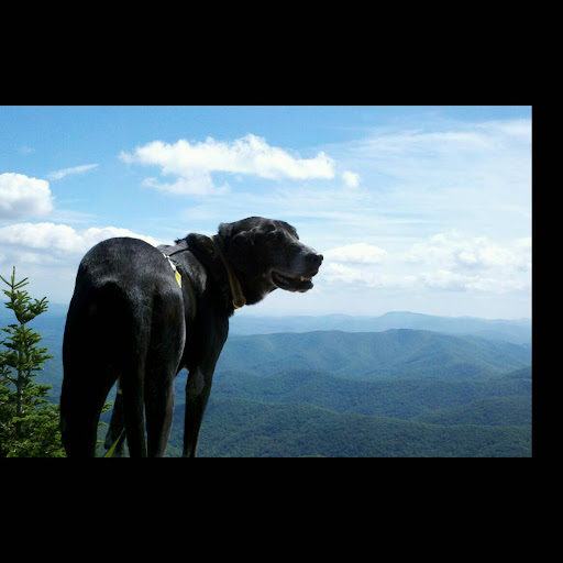Sara Jeffers Photo 12