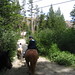 Mamie Bailey Photo 21