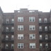 Elizabeth Rego Photo 33