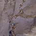 Cliff Owen Photo 27