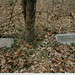 Martha Tabor Photo 23