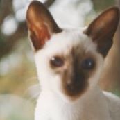 Patricia Bernhardt Photo 1