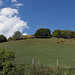 Bruce Borders Photo 18