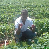 Mohamed Musse Photo 6