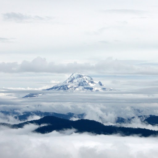 Scott Markwell Photo 4