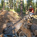 Lloyd Prosser Photo 18