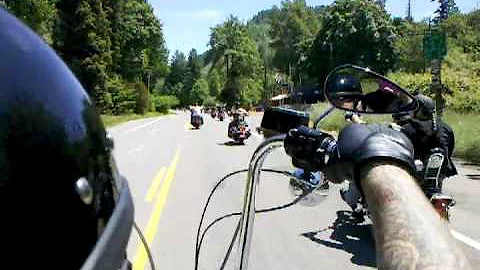 Stacy Rosenbaum Photo 19