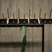 Joseph Giacometti Photo 18