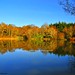 Steve Stover Photo 36