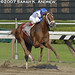 Mark Pletcher Photo 24