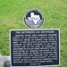 Sherman Reynolds Photo 31