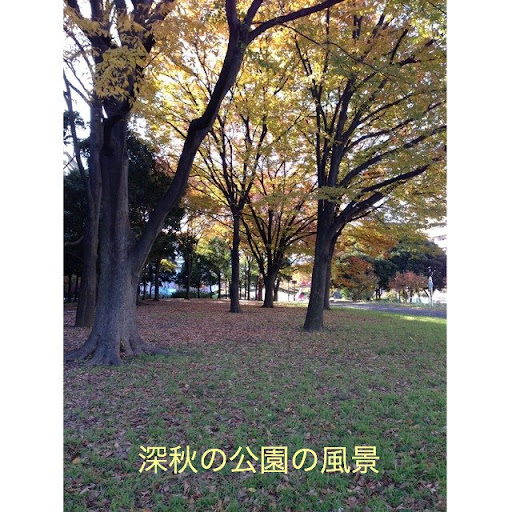 Ki Han Photo 14