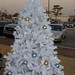 Carol Humphreys Photo 30