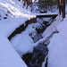 Glen Root Photo 21
