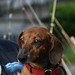 Jake Weiner Photo 40