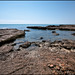 Sal Torre Photo 27