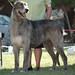 Steven Strohm Photo 15