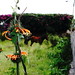Flor Galindo Photo 26