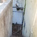 Clark Kerr Photo 15