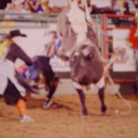 Steven Gabaldon Photo 3