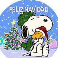 Araceli Pedraza Photo 6