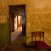 Scott Fortino Photo 14
