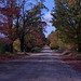 Gary Lester Photo 47