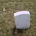 Michael Mckeown Photo 47