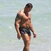 Dave Bautista Photo 38
