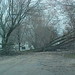 Brian Tackett Photo 41