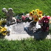 Anthony Schneider Photo 39