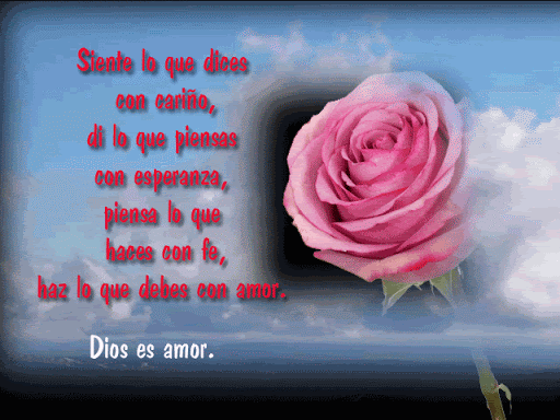 Ana Zuniga Photo 13
