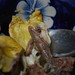 Hien Ta Photo 28