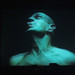 Chris Cunningham Photo 49