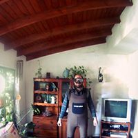 David Mattei Photo 1